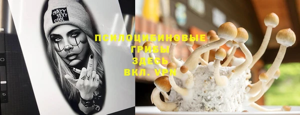 гашик Алексеевка