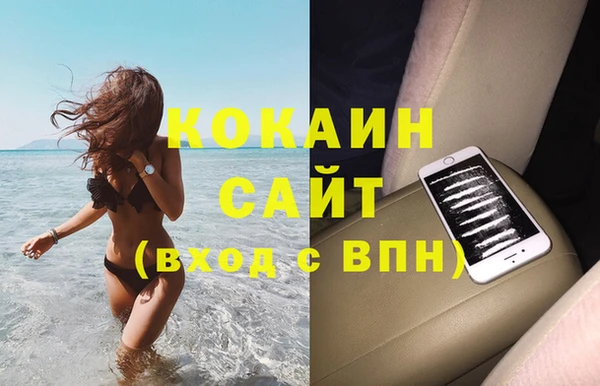 крисы Алексин