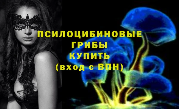 гашик Алексеевка