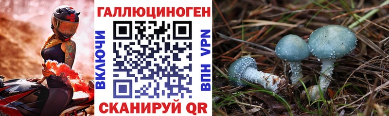 сколько стоит  Цоци-Юрт  Галлюциногенные грибы ЛСД 