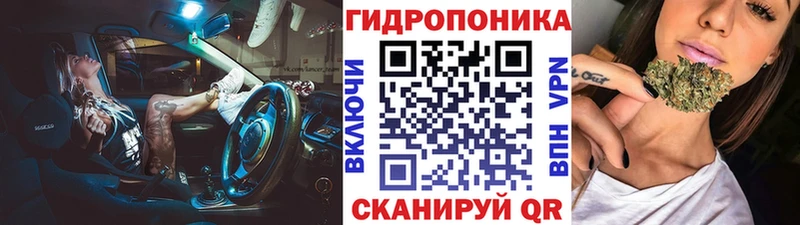 Марихуана гибрид  Цоци-Юрт 